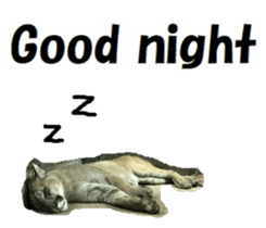 340120645
