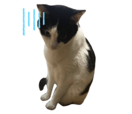340136943