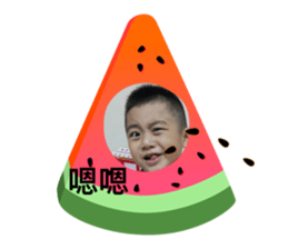 340146609