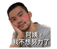 340150751
