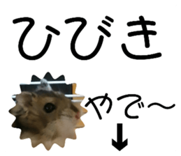 340164144