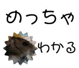 340164156