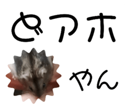 340164165