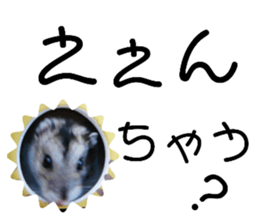 340164170