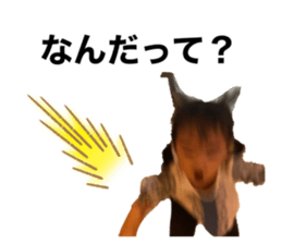340165216