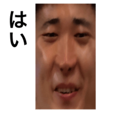 340208542