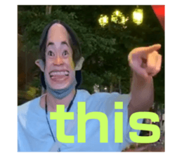 340208557