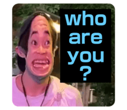 340208558