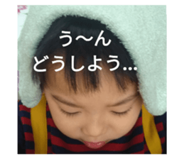 34023035
