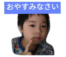 34023036
