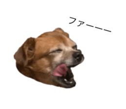 340234520