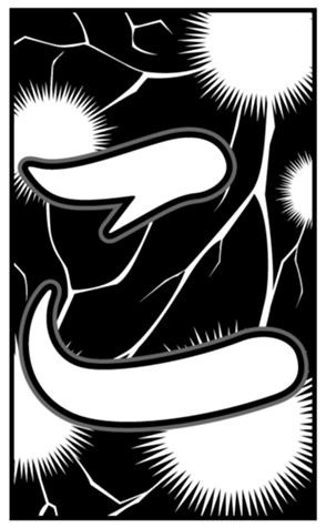 340250016