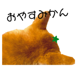 340285152