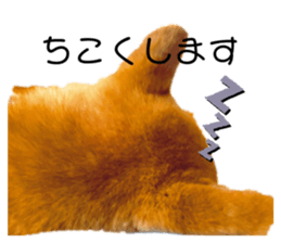 340285844