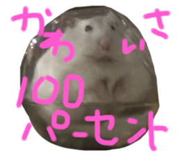 340286880