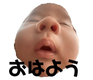 340287902