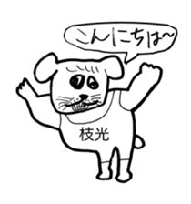 340304417