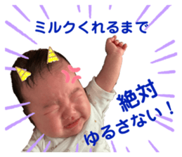 340315037