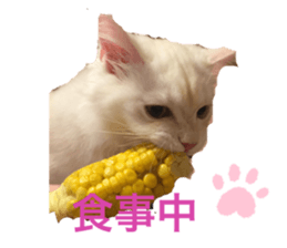340325186
