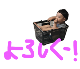 340337530