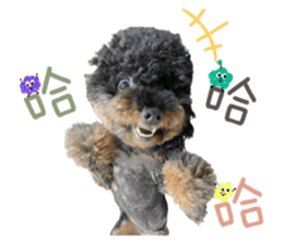 340380961