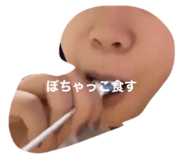 340380981