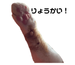 340406724