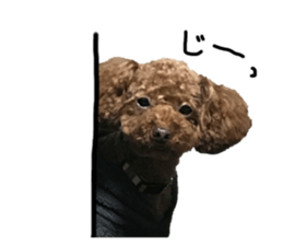 340406878