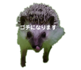 340428764