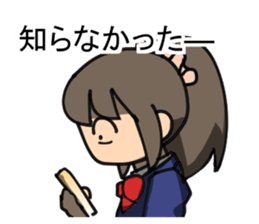 3404307