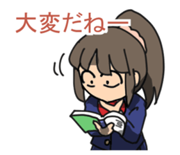 3404327