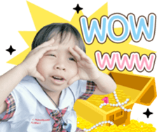 340433840