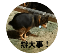 340502908