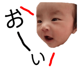 340533856