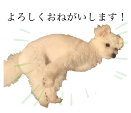 340546650