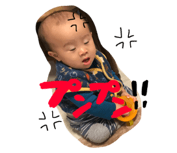 34055145
