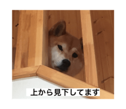 340620225