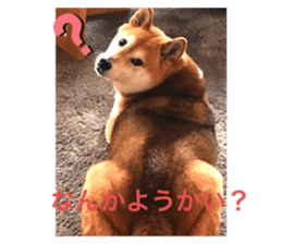 340620227
