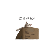 340662278