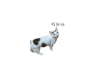 340662283