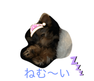 340709575