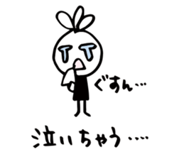 34075494