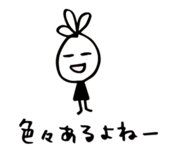 34075497