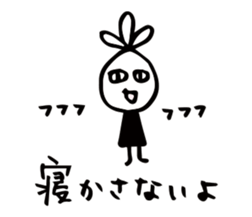 34075508