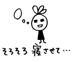 34075509