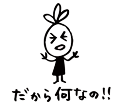 34075510