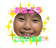 340798177