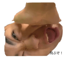 340798313