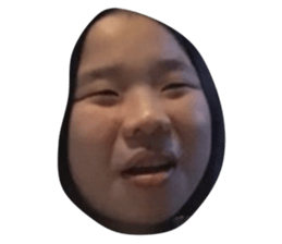 34080905