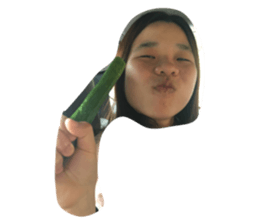 34080911